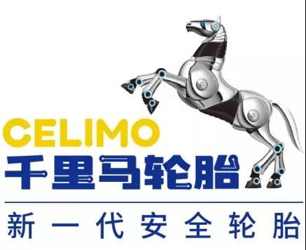 "國內(nèi)先進(jìn)、國際一流"