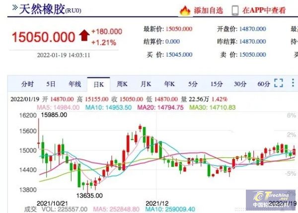 橡膠停割即將開啟，