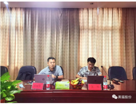　安徽中鼎做為國內(nèi)最大的汽車橡膠零部件生產(chǎn)、出口企業(yè)，是黑貓股份差異化產(chǎn)品的重要客戶之一，此次評(píng)審為安徽中鼎第一次對(duì)黑貓公司開展審核活動(dòng)，也是邯鄲黑貓首次接受差異化產(chǎn)品客戶方審核。