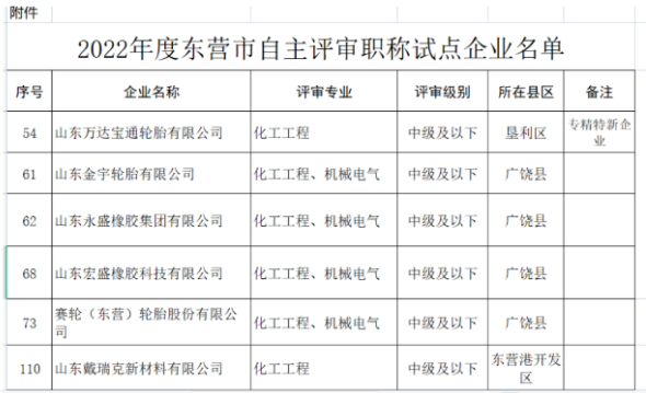 職稱自主評審，5家輪胎企業(yè)試點！